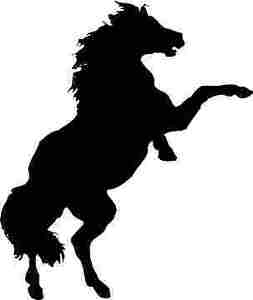 253x300 Horse Standing On Back Legs Silhouette Car Decal Sticker Ebay