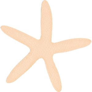 300x300 Silhouette Design Store