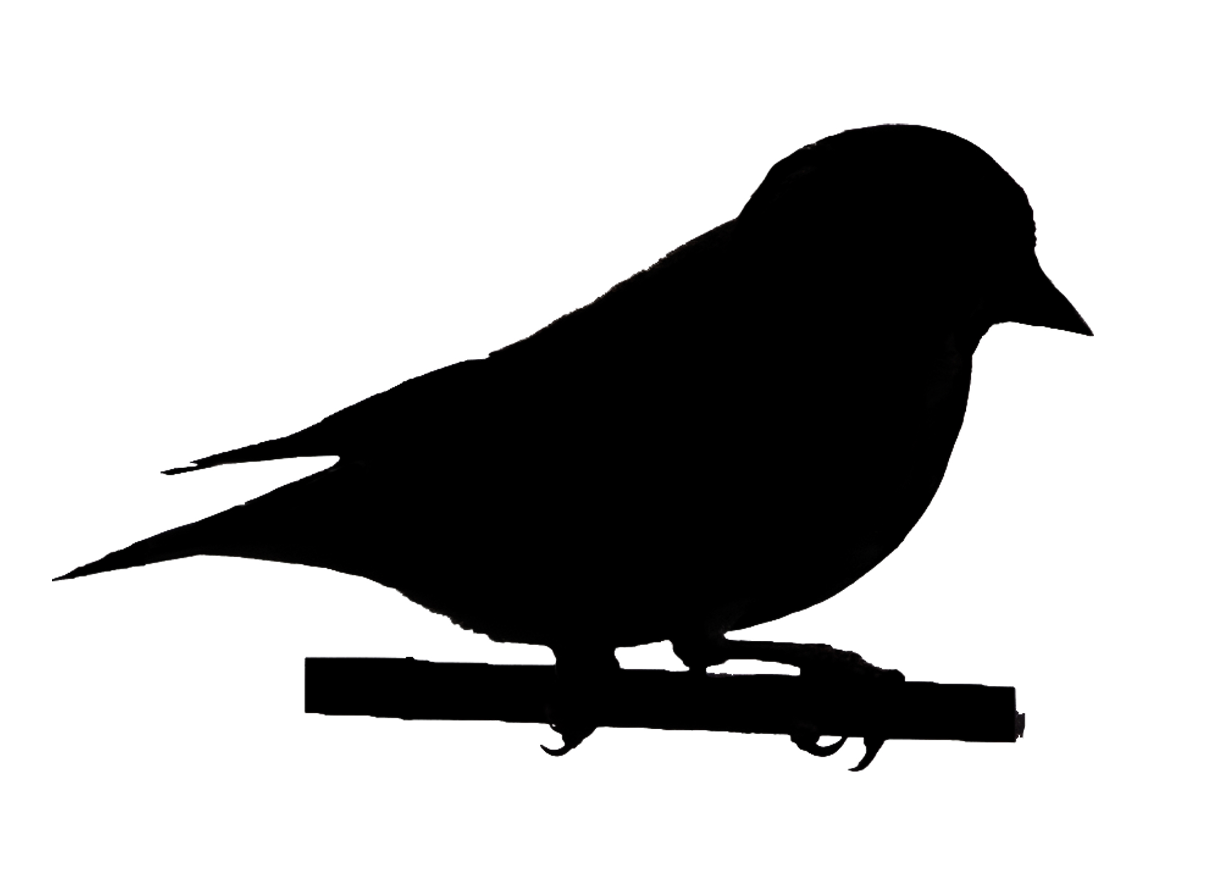 2480x1841 Silhouettes