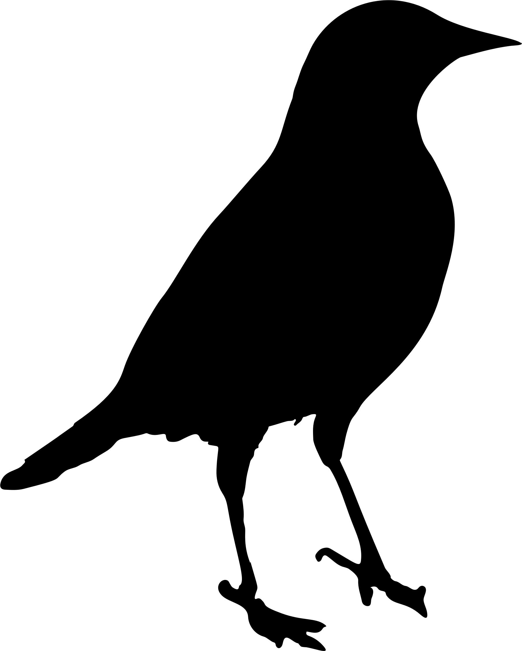 1806x2253 Blackbird Silhouette Icons Png