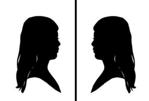 300x203 Silhouette Pricing