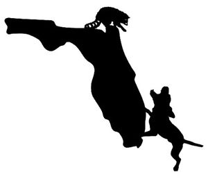 300x258 Coon Hunting Florida State Decal, Vinyl Truck, Window Stickers