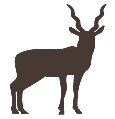 231x238 Steel Silhouette Targets Archives