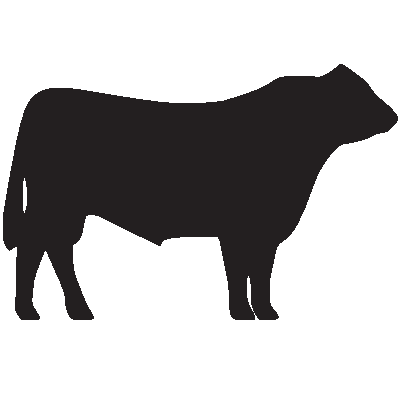 400x400 Beef Clipart Angus Cow