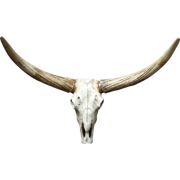 600x600 Steer Skull Silhouette Kenttruog