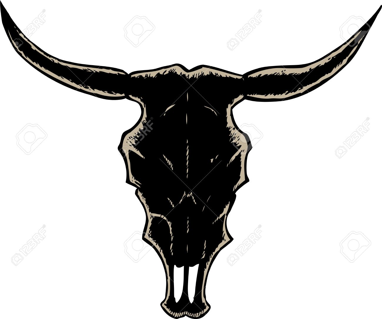 1300x1087 Steer Skull Clipart