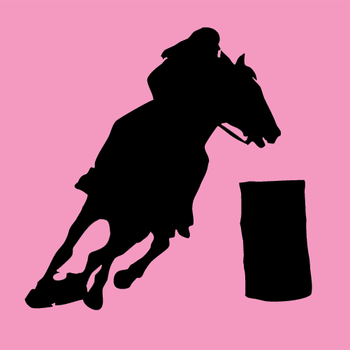 501x501 Rodeo Results