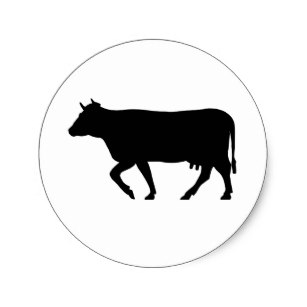 307x307 Steer Stickers Zazzle