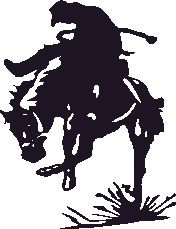 345x449 More Western And Rodeo 2