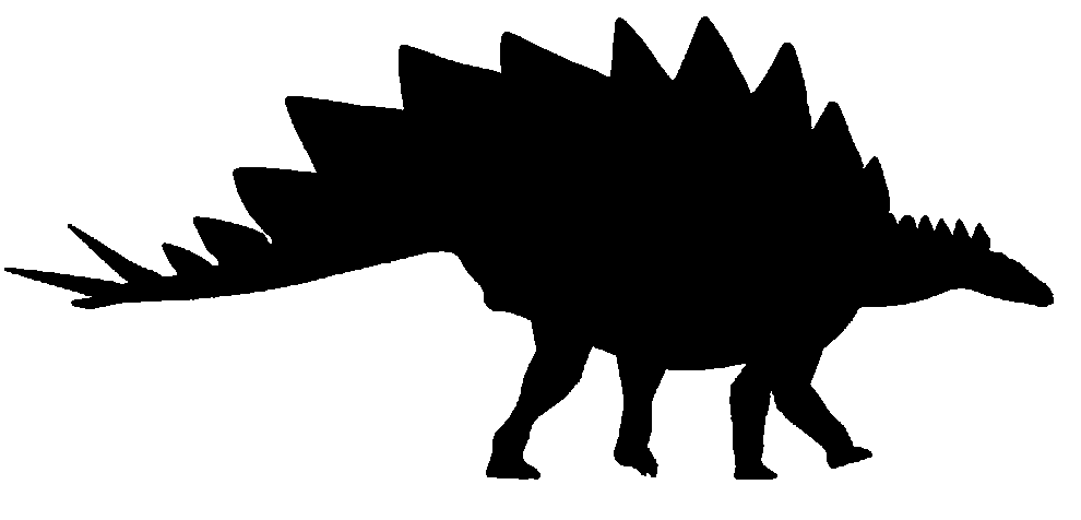 990x476 Stegosaurus Facts