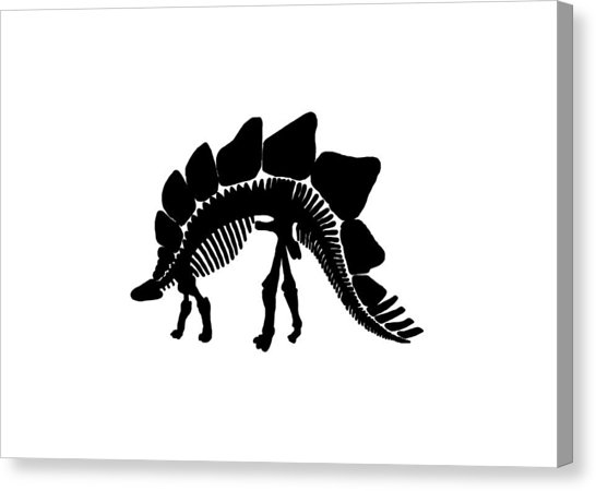 546x450 Stegosaurus Canvas Prints