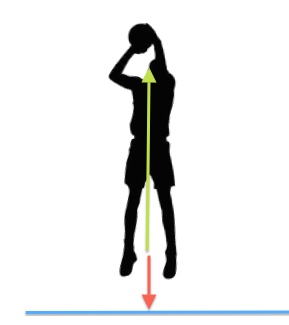 289x325 Basketball Chris Ross