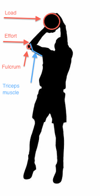 205x400 Biomechanical Principles Of A Jump Shot