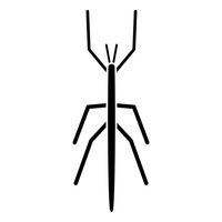 200x200 Shape Shapes Silhouette Silhouettes Cutout Cut Out Insect Insects