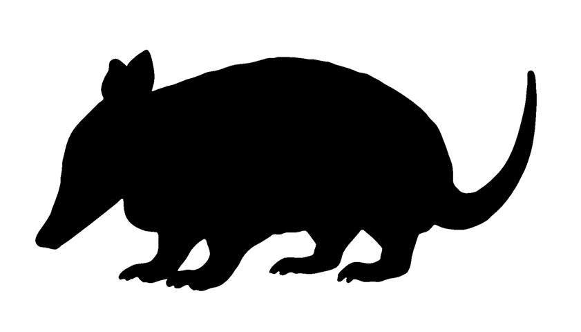 841x480 Armadillo Silhouette 1 Decal Sticker