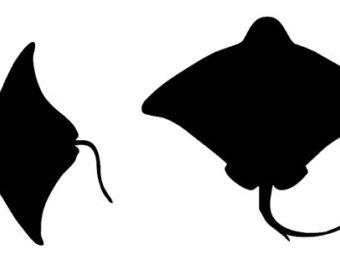 340x270 Stingray Black And White Clipart