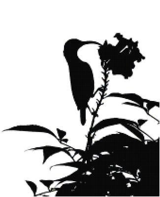 325x400 Great Cross Stitch Kits Collection On Ebay!