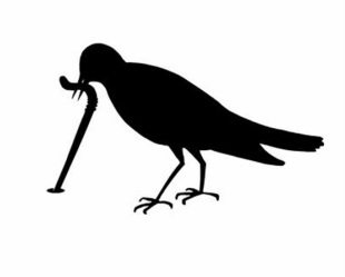 310x249 Spring Stop Sign