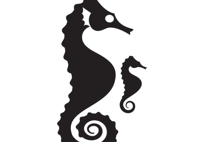 700x467 Seahorses Stores Portland Monthly