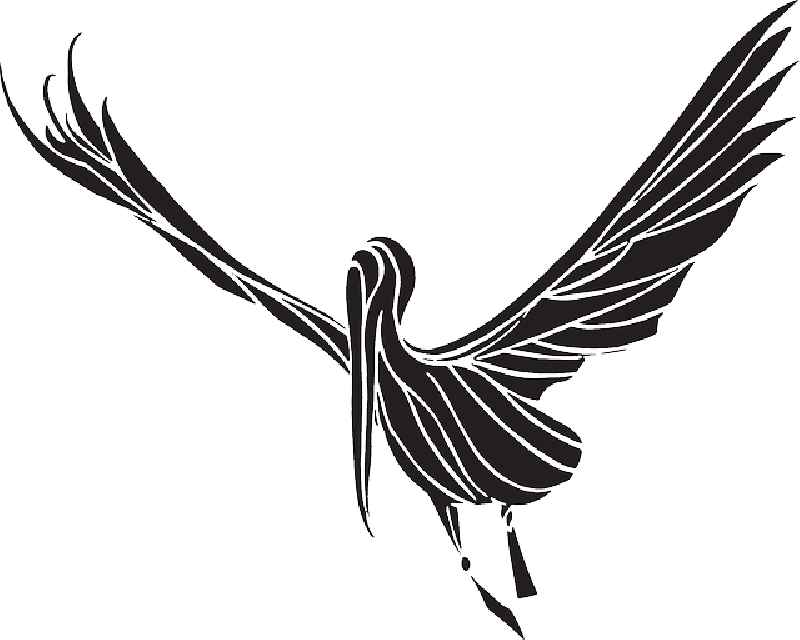 800x640 Baby, Silhouette, Bird, Flying, Wings, Stork, Fly
