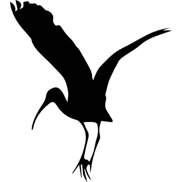 626x626 Bird Stork Shape Icons Free Download