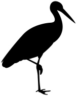 152x190 Illustration Silhouette Images Spiderpic Royalty Free Stock Photos