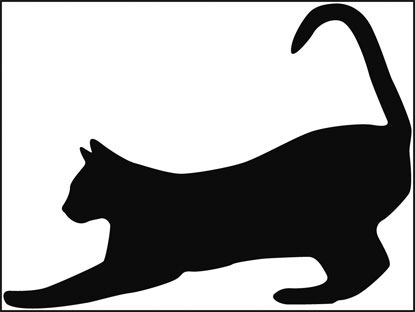 415x312 Learn From Cats! Stretching Keeps Their Joints Amp Muscles Supple