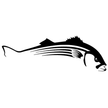 220x220 Steelfin Striped Bass Decal, Accessories And Storage Store Name