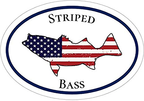 463x324 Striped Bass American Flag Silhouette Oval Fishing