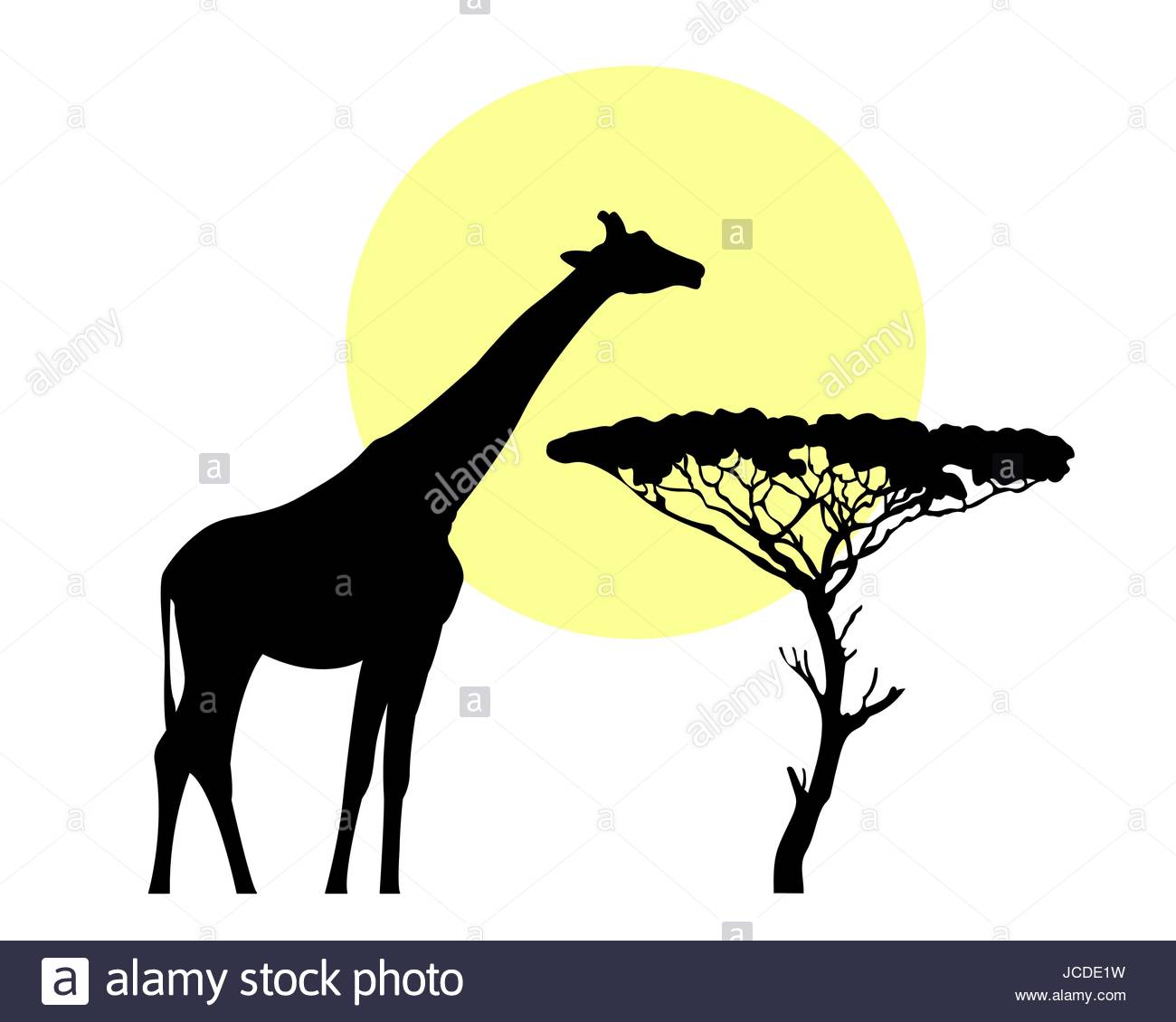 1300x1130 Giraffe Black Silhouette Against The Yellow Of The Sun In Savannah