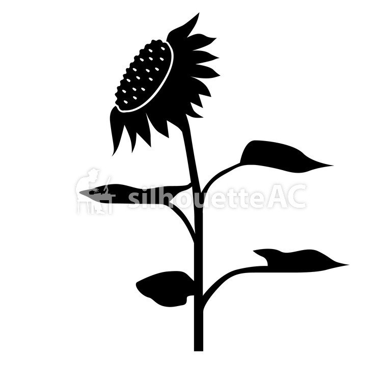 750x750 Free Silhouettes Flower, Up, Art
