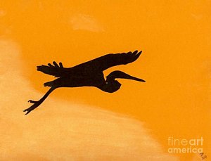 300x229 Florida Sunset Drawings Fine Art America