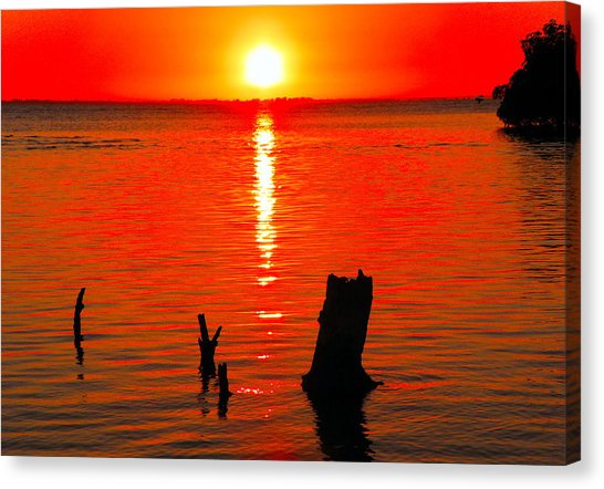 546x442 Red Sunset At Bunche Beach Photograph By Rosalie Scanlon