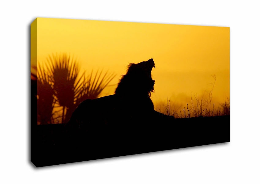 849x599 Sunset Wide Panel Lion Roar Silhouette Canvas Prints