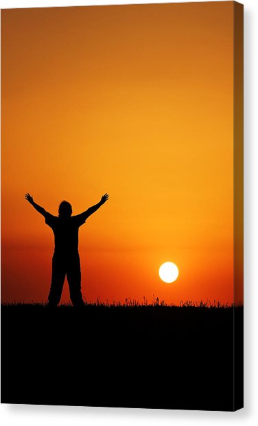 376x622 Sunset Worship Photograph By Johan Larson