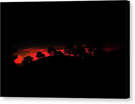 546x422 Tree Silhouette Canvas Prints Fine Art America