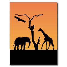 236x236 Africa Silhouette Wallpaper View Bigger