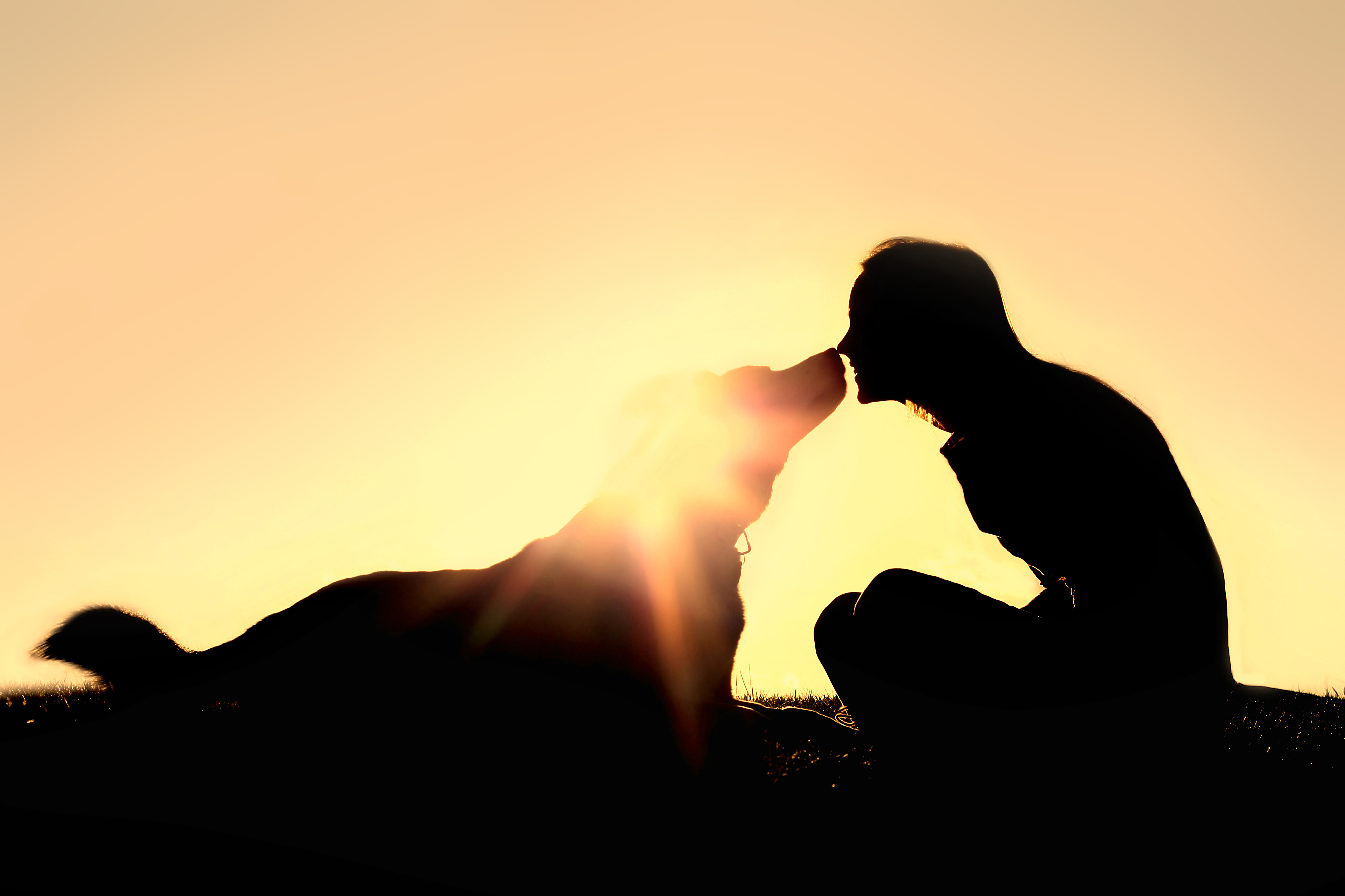 4000x2666 Happy Woman And Dog Outside Silhouette