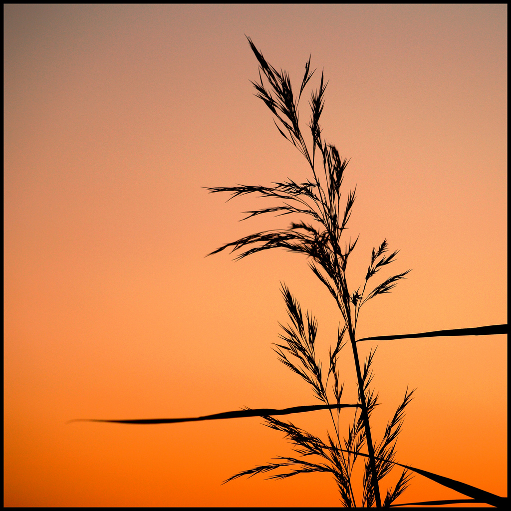 1024x1024 The World's Best Photos Of Kirstenmlentoft And Sunset