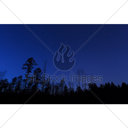 500x500 Tree Line After Sunset Gl Stock Images