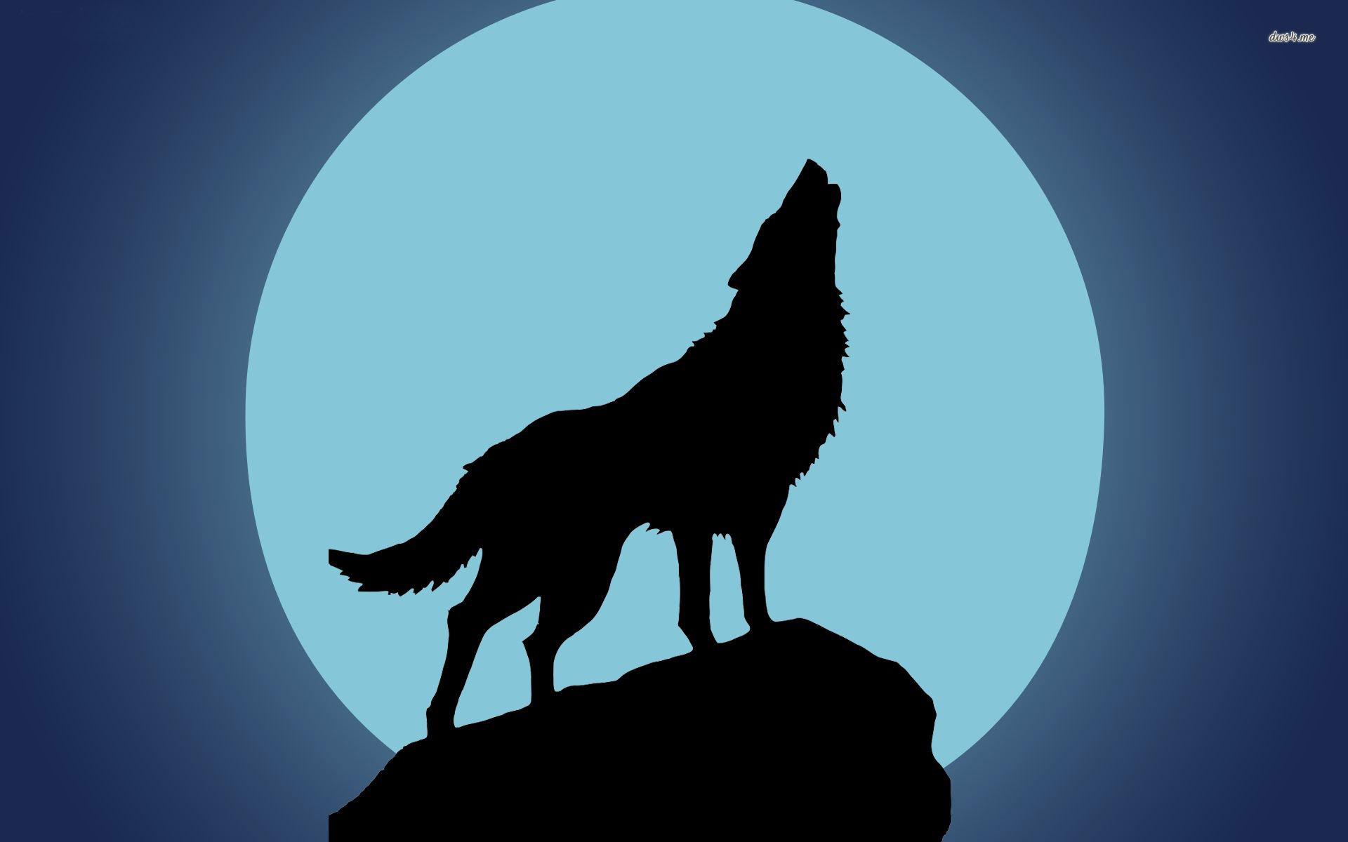 1920x1200 Wolf Howling At The Moon Wallpapers Gallery (41 Plus) Pic