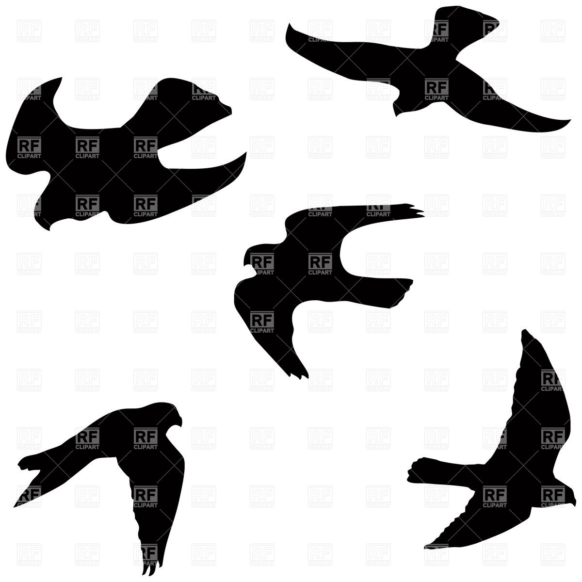 1200x1200 Flying Falcon Silhouettes Royalty Free Vector Clip Art Image