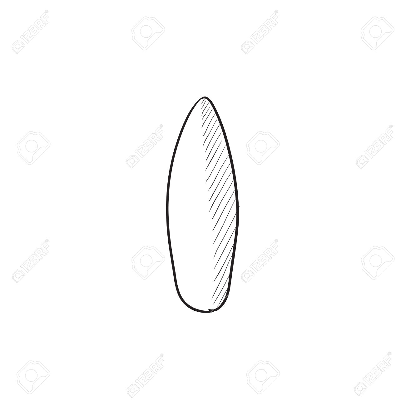 1300x1300 Drawn Surfboard Vector Many Interesting Cliparts