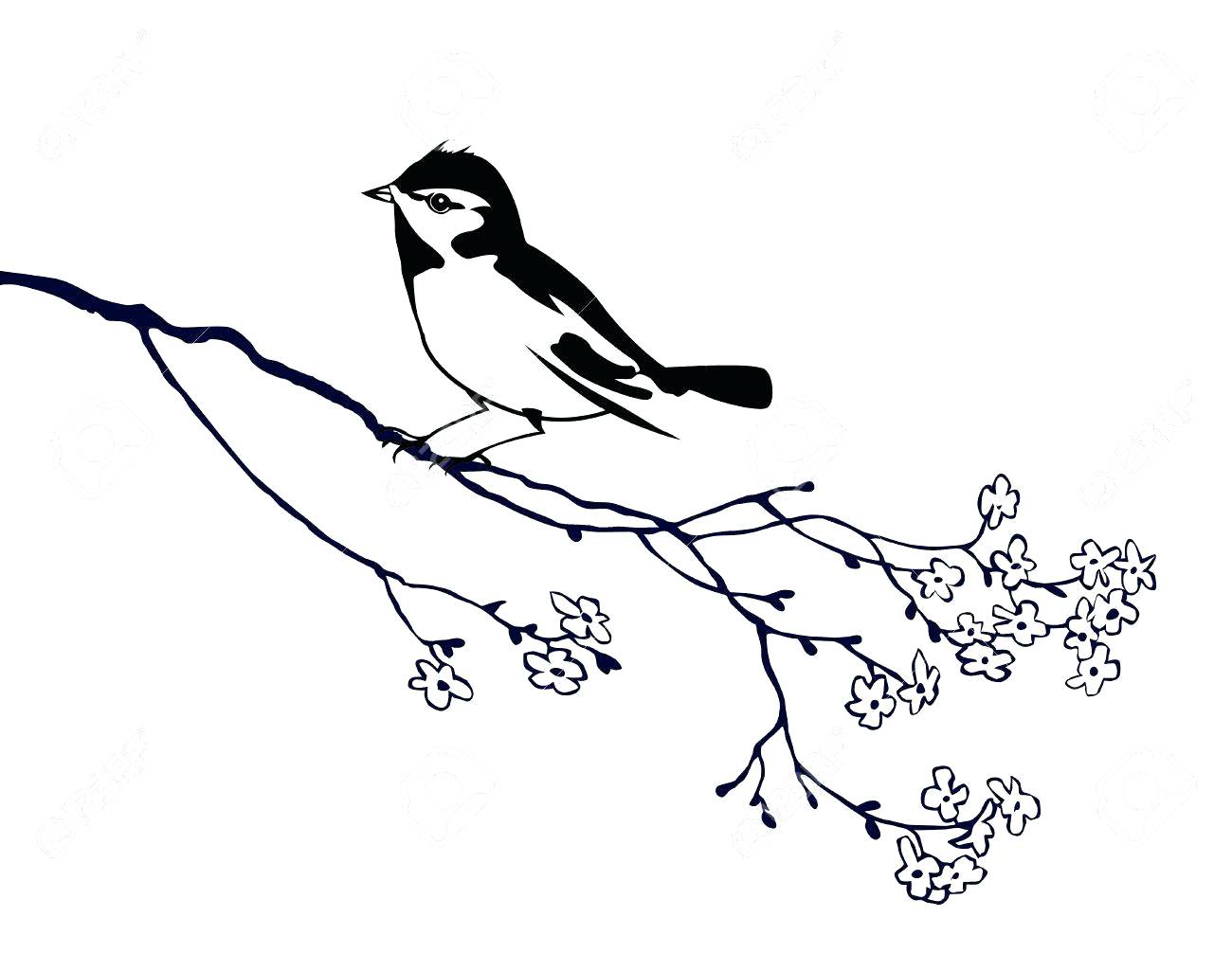 1300x1006 Vector Silhouette Of The Bird On Branch Tree Stock Traditional