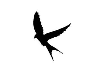 340x270 37 Best Small Bird Silhouette Tattoo Images On Flying