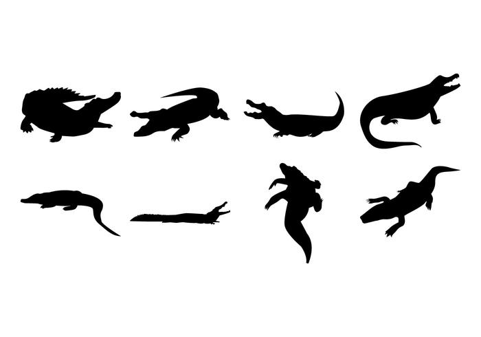 700x490 Alligator Silhouettes Vector