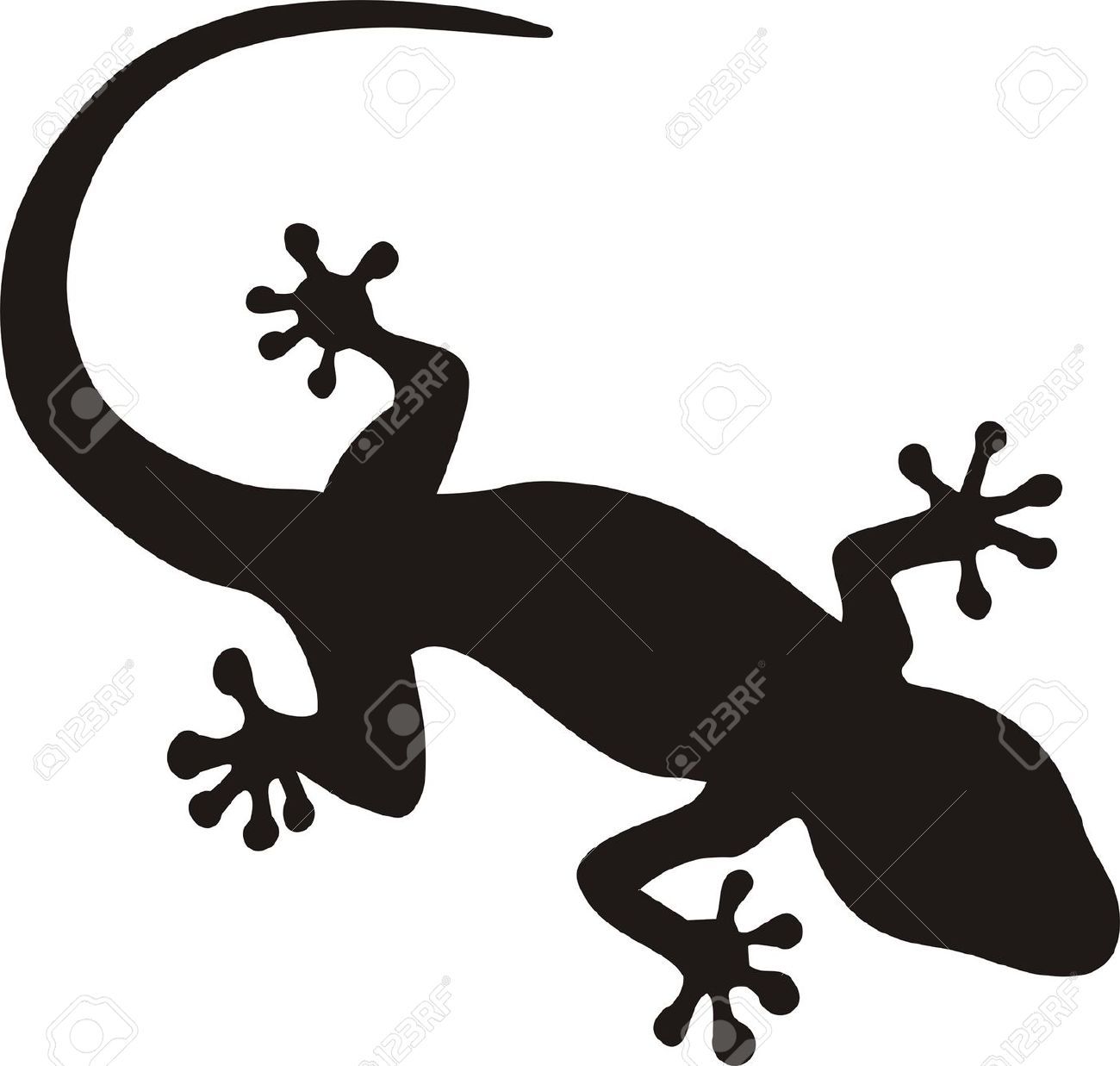 1300x1237 Salamander Stock Vector Illustration And Royalty Free Salamander