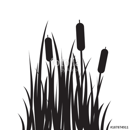 Swamp Silhouette at GetDrawings | Free download