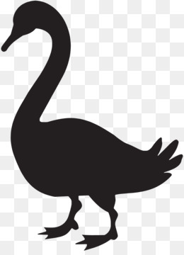 260x360 Swan Png And Psd Free Download