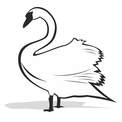 500x500 Black And White Swan Silhouette